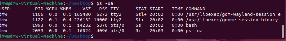 image-20250613200332876